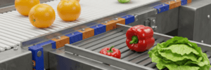 The Rise Of Magnetic Conveyors For Food And Pharmaceutical Industry