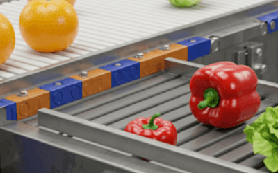 The Rise Of Magnetic Conveyors For Food And Pharmaceutical Industry