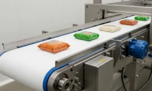 Food Grade Flat Belt Conveyor