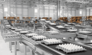 Inclined PVC Cleat Belt Conveyor