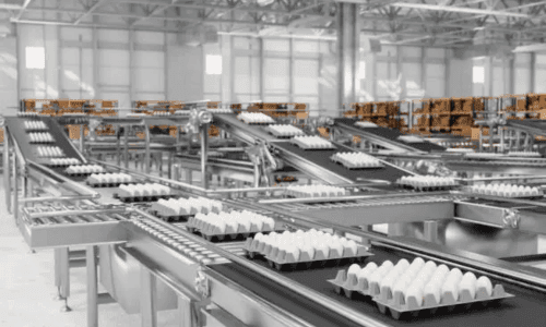 Inclined PVC Cleat Belt Conveyor