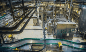 Industrial Belt Conveyors