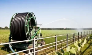 Benefits of Using Hose Reels for Farm and Landscaping Needs