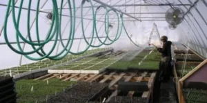 Greenhouse Irrigation