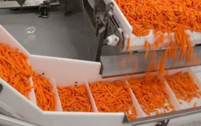 Conveyor system standards for Food industries