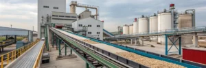 Batching plant conveyors