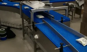 Conveyor Diverter
