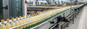Conveyors for Bottling Plants