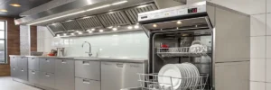 Hood Pass-Through Dishwasher Manufacturer in India