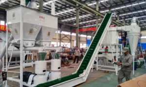 Livestock Feed Conveyors