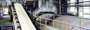 sugar plant cleaning system